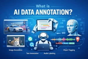 AI Data annotation